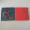 [USED] Kenshi Yonezu STRAY SHEEP First Edition Art Book Edition Blu-ray Only, No CD