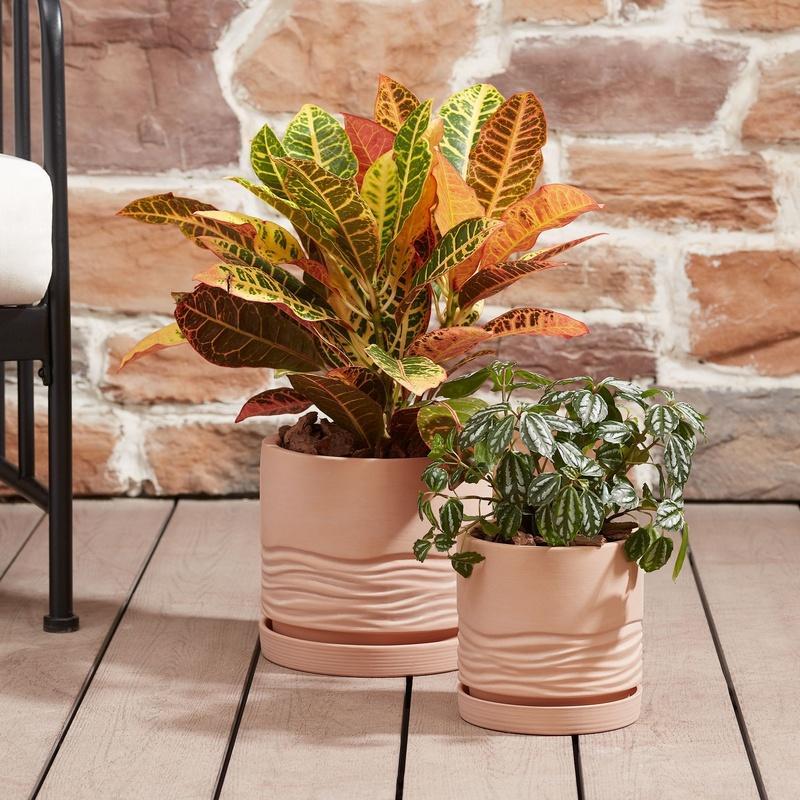 8 Inch Round Terracotta Plant Pot with Drainage Saucer Durable Eco-Friendly Indoor Outdoor Planter Succulents Flowers and