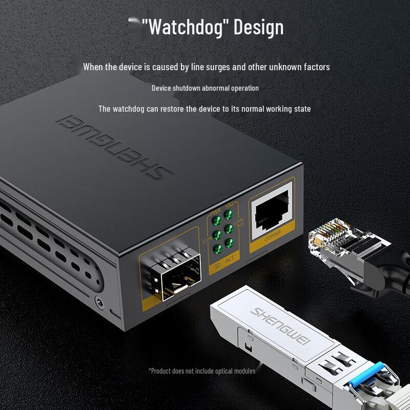 Shengwei Telecom-Grade 10G SFP+ Fiber Media Converter