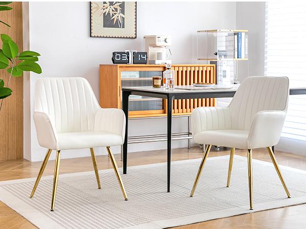 Dining Chair Set of 2 – Modern Fabric Chair with Armrest, Gold-Plated Metal Legs, Luxurious Dining Furniture for Living Room, Kitchen & Reception Room