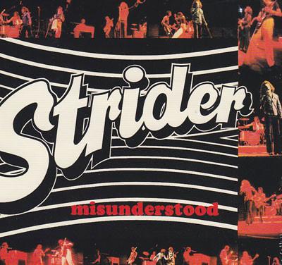 

CD STRIDER - Misunderstood 659 Private Cd Prod 2009 US Rock Used
