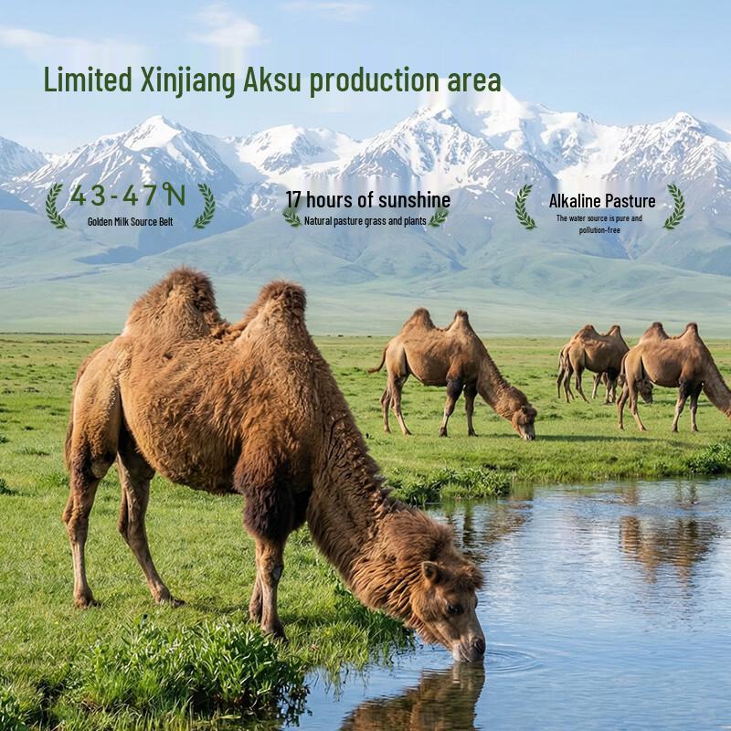 JD Zhizao Pure Xinjiang Camel Milk Powder, 300g