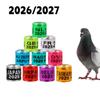 Păsări – Produse pentru antrenarea păsărilor