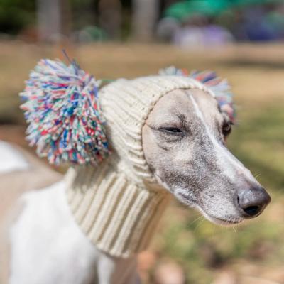 Italian Greyhound Whippet Hat with Fur Ball Pet Hat In Winter Elastic Wool Puppy Big Dog Hat