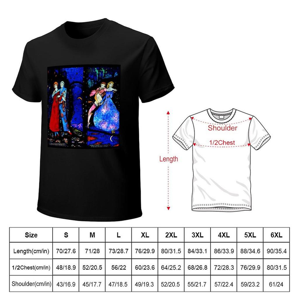 The Geneva Window The Playboy of the Western World Harry Clarke TShirt quick drying mens graphic tshirts funny