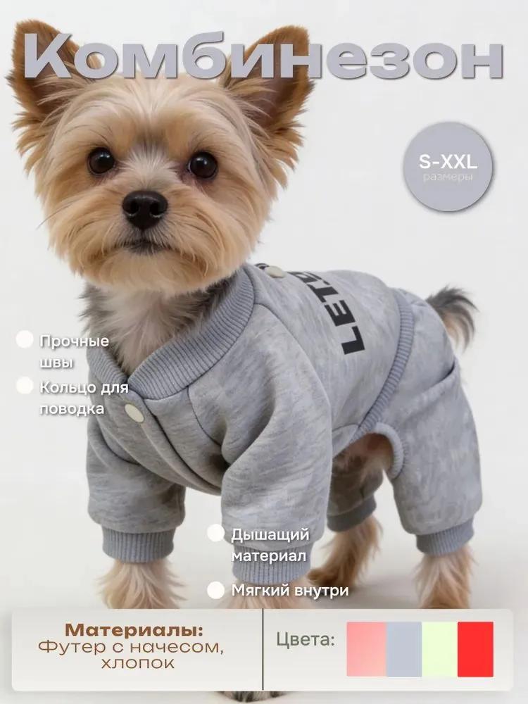 Small dog jumpsuit with leash ring, let's go, grey, M