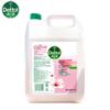 Dettol Antibakterielle Feuchtigkeitsspendende Handwäsche