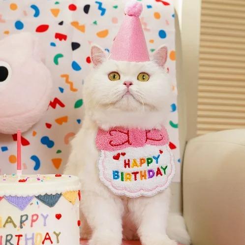 Adjustable Pet Birthday Hat Scarf Combo, Mini Pet Saliva Towel, Festive Birthday Decoration Supplies for Small Cats & Dogs