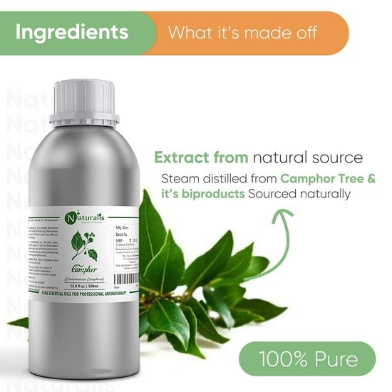 Naturalis Kampferöl - Reines und Natürliches Dampfdestilliertes Kampfer ätherisches Öl für Haut, Haare und Aromatherapie - Kampfer Mückenschutzmittel - 500ml