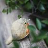 SKRYARD Nordic Decorative Handmade Wooden Sculpture of a Perfect for Home Garden and Nordic Style or As a Cute Animal Ornament, Robin, Decor, Decor,