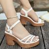 2025 Summer New Thick-soled One-word Fashion Roman Sandals Women's High-heeled Waterproof Table Golden Wedge-heeled Open-toed Women's Shoes