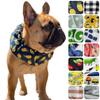 Cool Band Neck Cooler for Includes 5 Ice Heatstroke Prevention Dogs, Packs, (Omusubi, XS)
