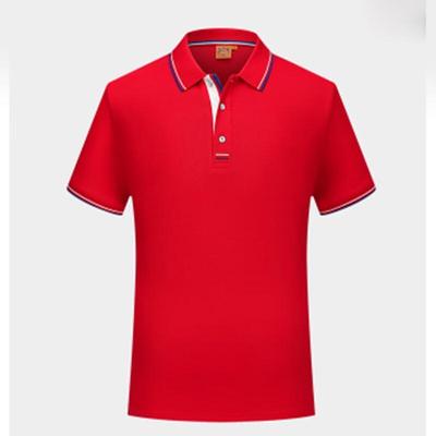 Magliette e canotte – Polo