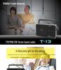 PANDA T-13 Compact Analog FM/MW/SW Radio for Seniors