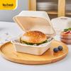 Disposable Pulp Takeaway Food Box