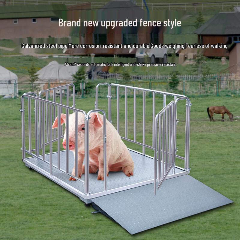 Huachao Gaoke Industrial Electronic Platform Scale (CN Version)