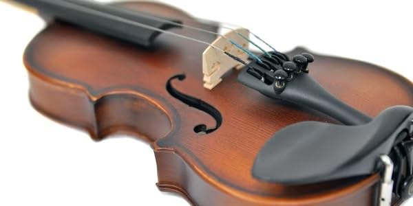 PLAYTECH Fractional Violin Suitable for heights under Single panel Ebony Bow and case included Children's Set, 1/16 size, 105cm, specification, parts,