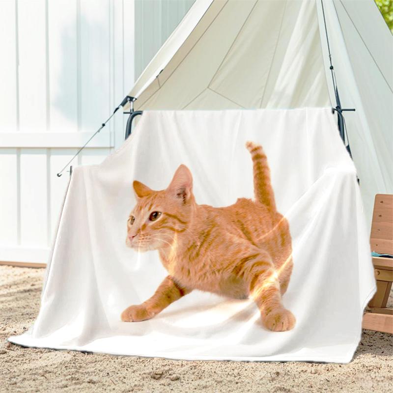 1pc Animals: rabbit, cat, pattern blanket, all season lightweight home office outdoor nap multifunctional blanket