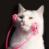 Face Massager Roller for Cat Silicone Massager Roller with Non-slip Grip