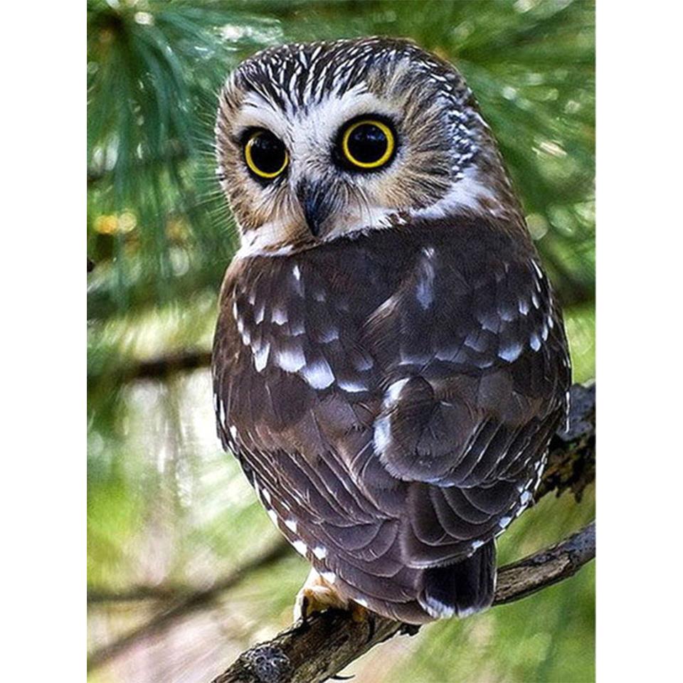 5D DIY pictură cu diamant Animal bufniță cu stras imagine broderie cu diamant complet mozaic artizanat cu punct de cruce cadou kit de decorare a casei