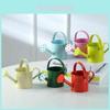 Charming Mini Flower Kettle Water Spraying Metal Pot For Indoor And Outdoor Gardens