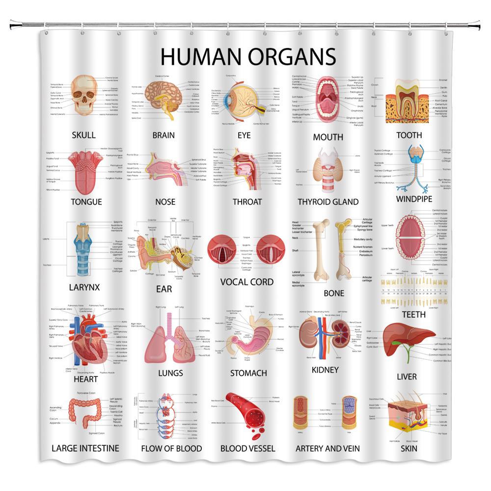 Hot New Periodic Table of Elements Bathroom Curtains Waterproof 3D Print Shower Curtain White Fabric Curtain for The Bath