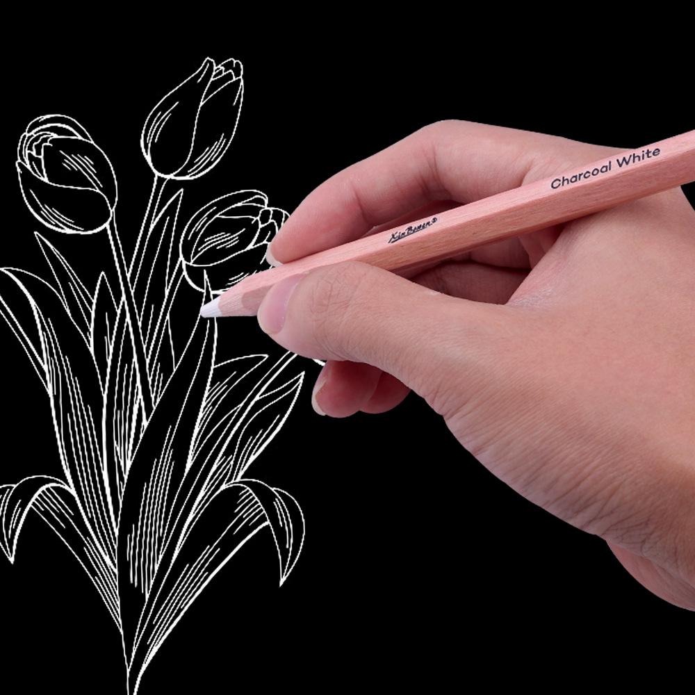 Solid Core White Charcoal Pencil Set for Drawing and Sketching – Thickened Carbon Highlight Pencils, Ideal for Art Students.