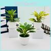 Green Faux Plant With Plastic Pot For Living Room And Office Decoration