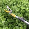 Telescopic High-Altitude Pruner & Fruit Picking Shears 