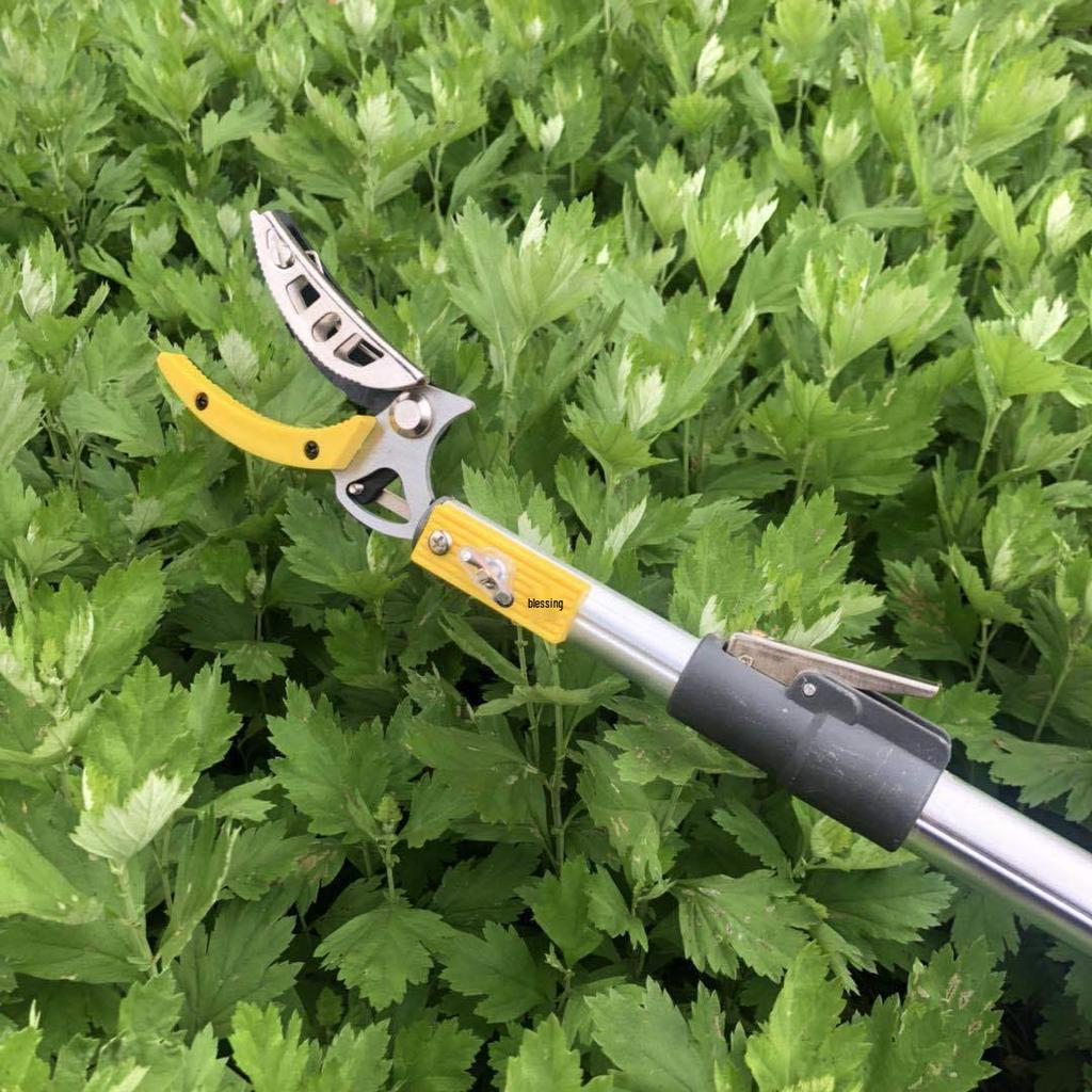 Telescopic High-Altitude Pruner & Fruit Picking Shears