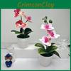 Realistic Orchid Butterfly Green Plants Potted For Decorations Indoor