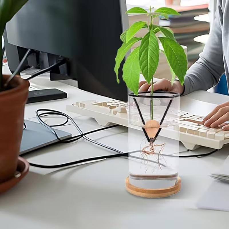 1/2/4Pcs Avocado Seed Starter Vase Holders Avocado Seed Growing Triangle Metal Stand Carrots, Sweet Potatoes Growing Stand