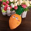 New 1Pc Puppy Dog Sound Carrots  Dog  Chew Squeaker Squeaky Pet Supplies