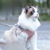 Adjustable Cat Leash, Cat Leash, Cat Leash, Special Cat Leash for Preventing Escape When Going Out