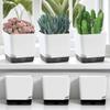 5Pcs Plant Pots, Self Watering Flower Pots Indoor Outdoor, Self Watering Planters with Drainage Hole & Clear Saucer Reservoir