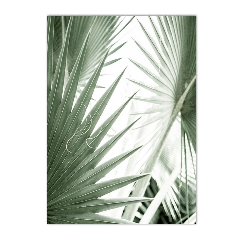 Green Leaves Cactus Mosque Morocco Door Posters Prints Canvas Painting Islamic Calligraphy Wall Art Pictures Living Room Decor