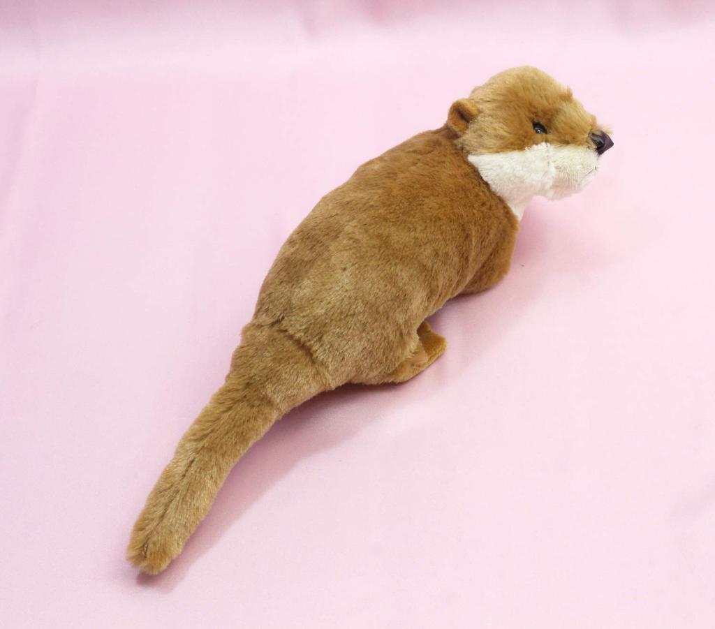 Takeoff Otter Kriechend Typ Mittelbraun