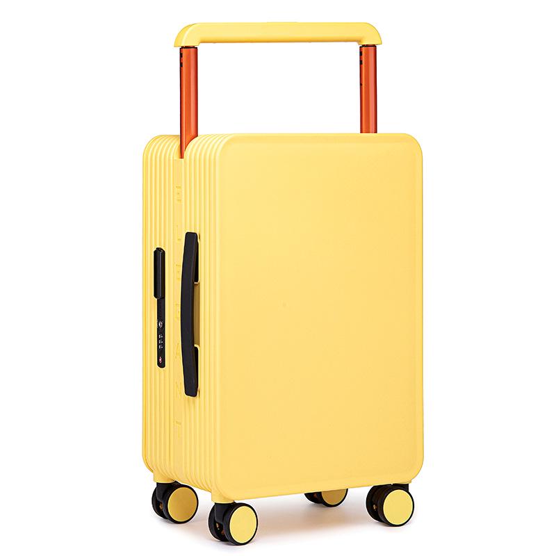 20-Inch Carry-On and 24-Inch Spinner Luggage with Lock for Men and Women
