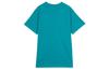 Nike Acg Short Sleeve Tee BQ7343-379