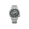 Gray Dial