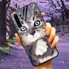 Phone Cover For Huawei P30 Pro Lite Case Tempered Glass Space Wolf Lion Funda for HUAWEI P30 Lite Luxury Cases P30Pro P 30 Cat
