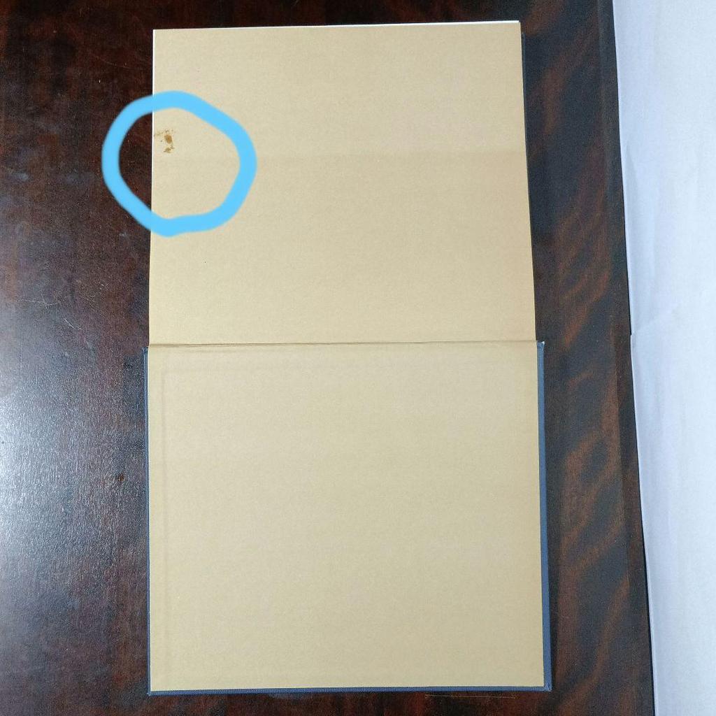 [USED] ENGLISH HOME STYLE PAM BOYS (Foreign Books Interior)