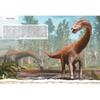 Dinozaury I Zwierzęta Prehistoryczne Książka Encyklopedia Twarda Oprawa