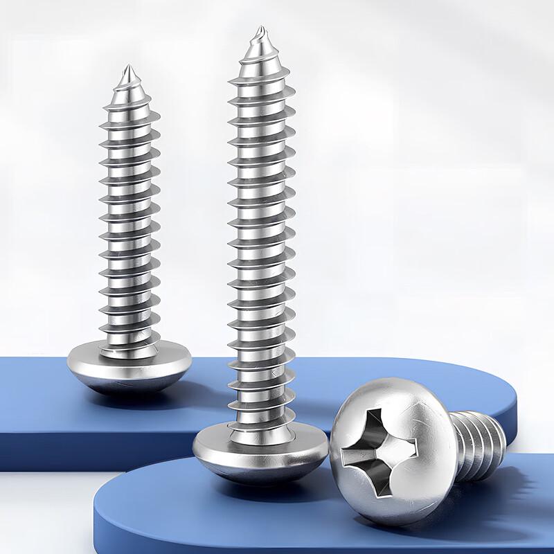 Bairuite 304PA Stainless Steel Round Head Phillips Self-Tapping Screw