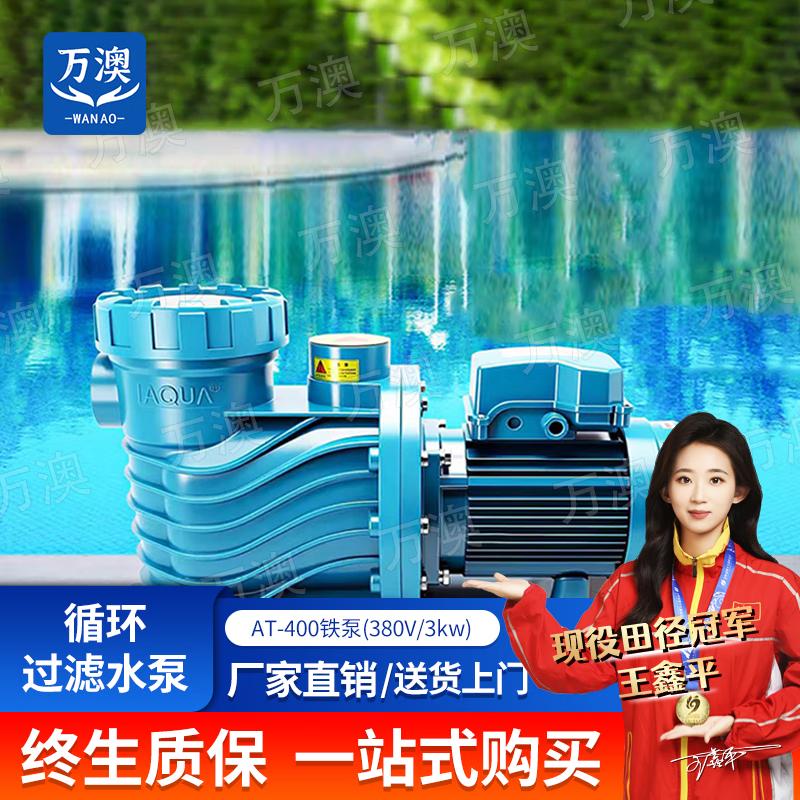 WanAo Iron Pool Pump