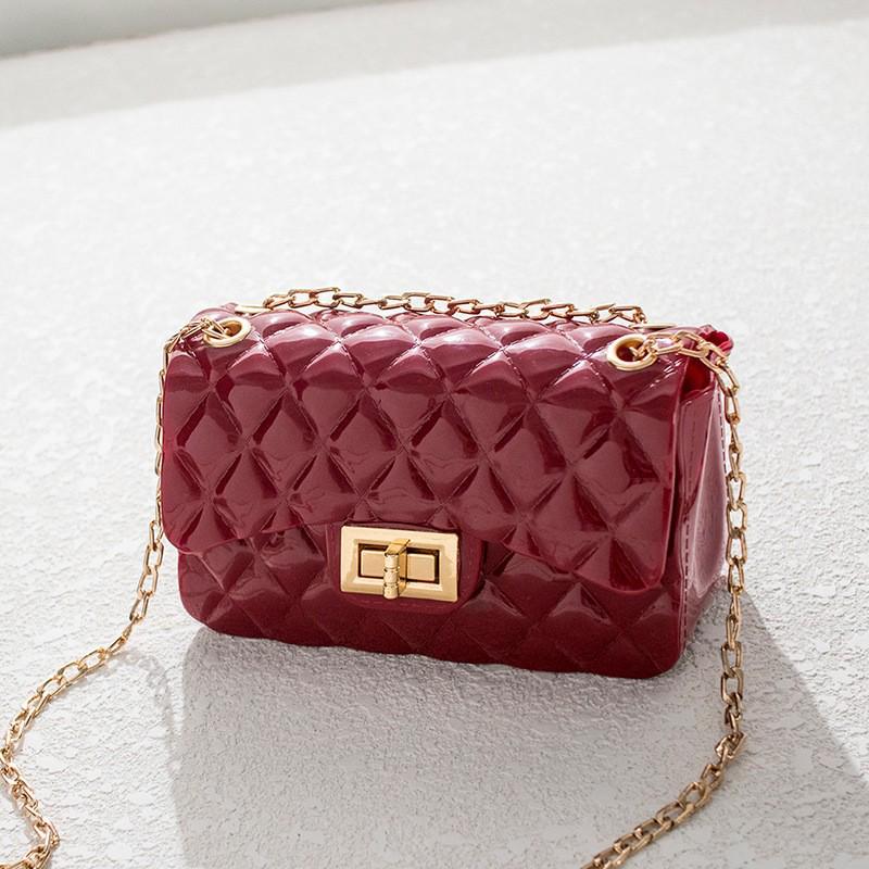 Argyle Jelly Small Handbag 2024: Fashionable & Versatile Shoulder Chain Bag for Women