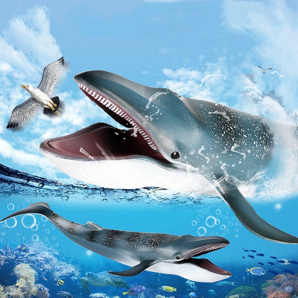 Wild Big Shark Fish Model Large Whale Desktop Ornament Ocean Animal Statue  Educational Kids Toy
