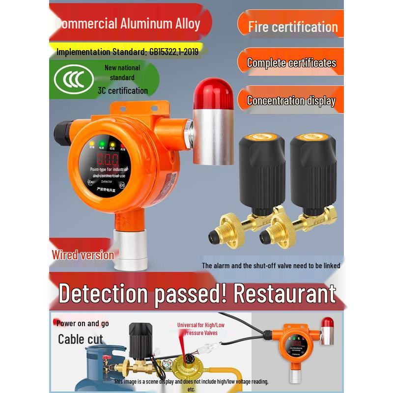 MDNG Baorui Combustible Gas Alarm with Auto Shut-off CN plug (adapter included)