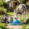 Tigela para Cães Alimentador Lento para Petiscos Líquidos, Tigela para Cães com Bola de Lamber, Tigela de Lamber para Cães para Comer com Segurança, Caldo de Ossos, Iogurte, Cão Molhado