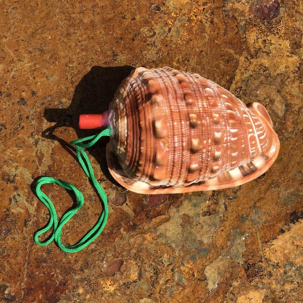 Street Stall Conch Shell Whistles & Toys: Creative Souvenirs